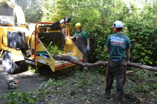 tree services Huntertown